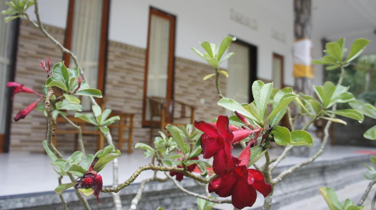 Klotok Home Stay Nusa Batununggul Zewnętrze zdjęcie